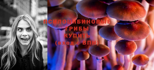 mdpv Армянск