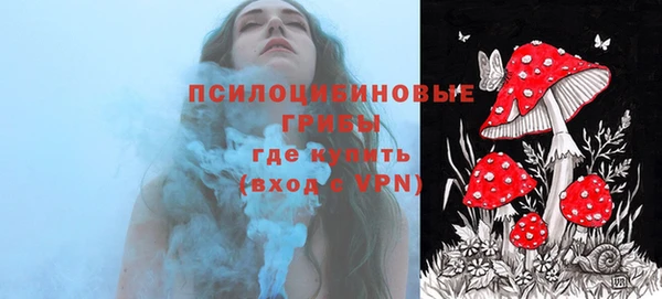 PSILOCYBIN Дегтярск