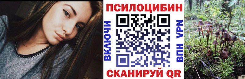 как найти Заинск Галлюциногенные грибы Magic Shrooms